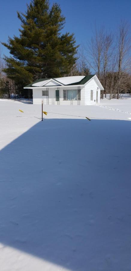 Chapel Hill Motel Brevort エクステリア 写真